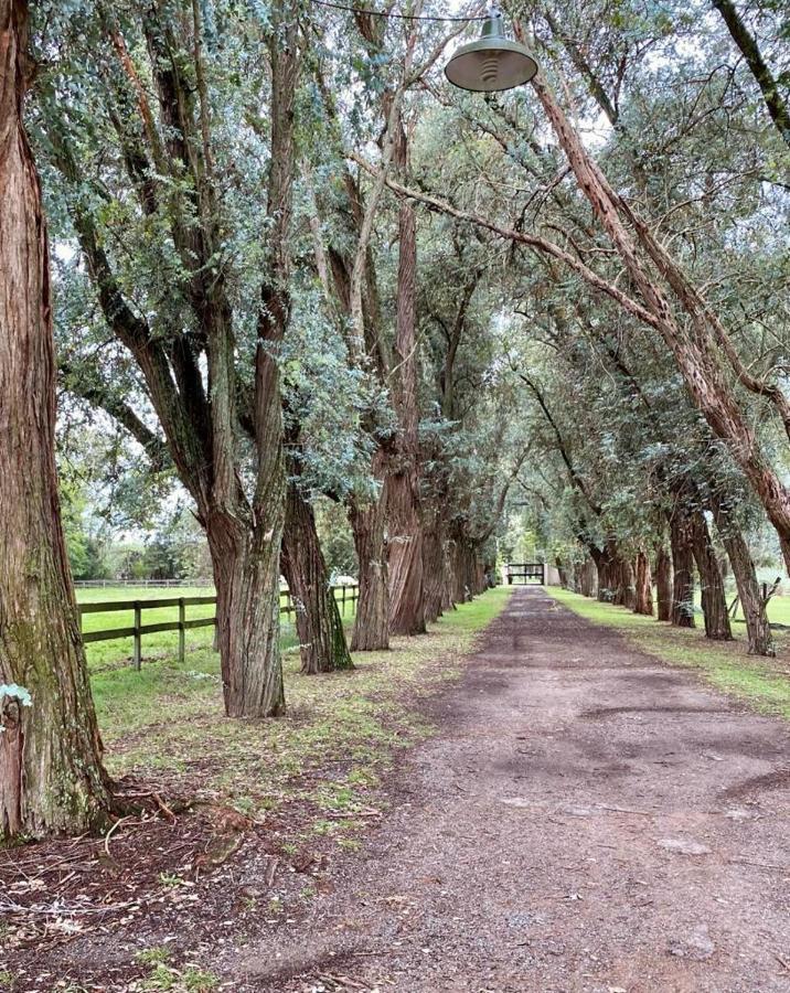 Don Aniceto Lodges & Glamping Luján エクステリア 写真
