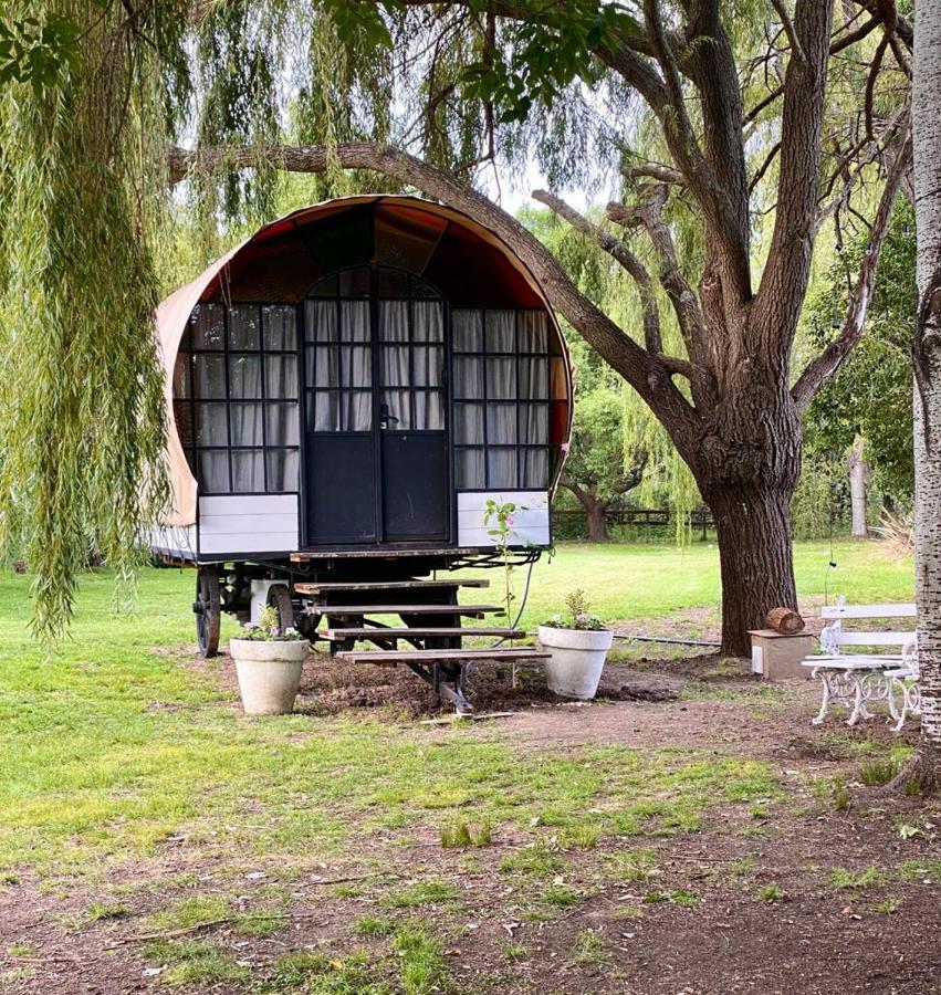 Don Aniceto Lodges & Glamping Luján エクステリア 写真
