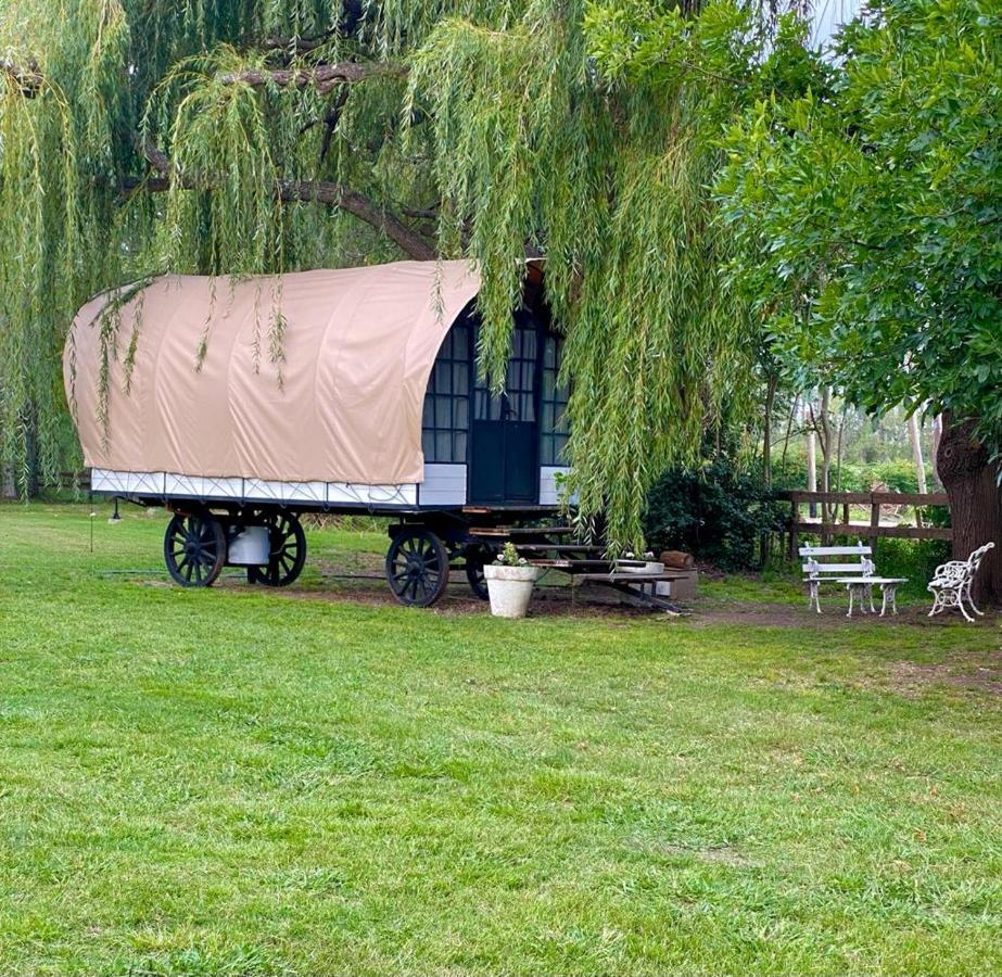Don Aniceto Lodges & Glamping Luján エクステリア 写真