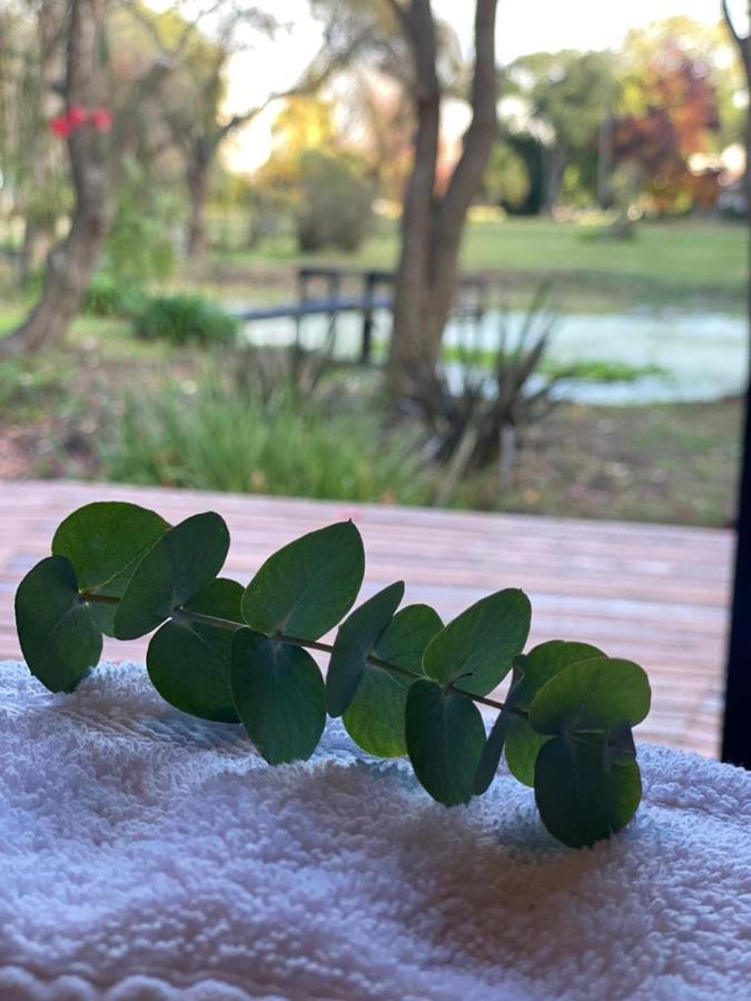 Don Aniceto Lodges & Glamping Luján エクステリア 写真
